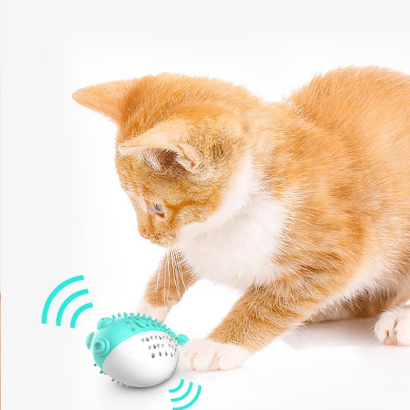 Mini Grabbing Pet Toy For Chew - The Ultimate Fun for Your Furry Friend